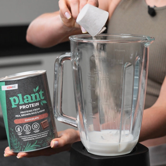 ICONFIT Plant Protein (480g)